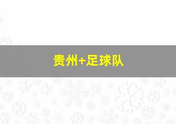 贵州 足球队